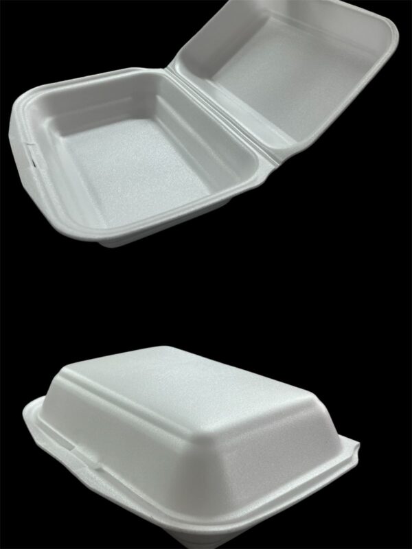 FOAM CONTAINERS NO (31)