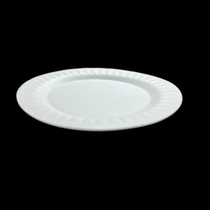 FOAM PLATE