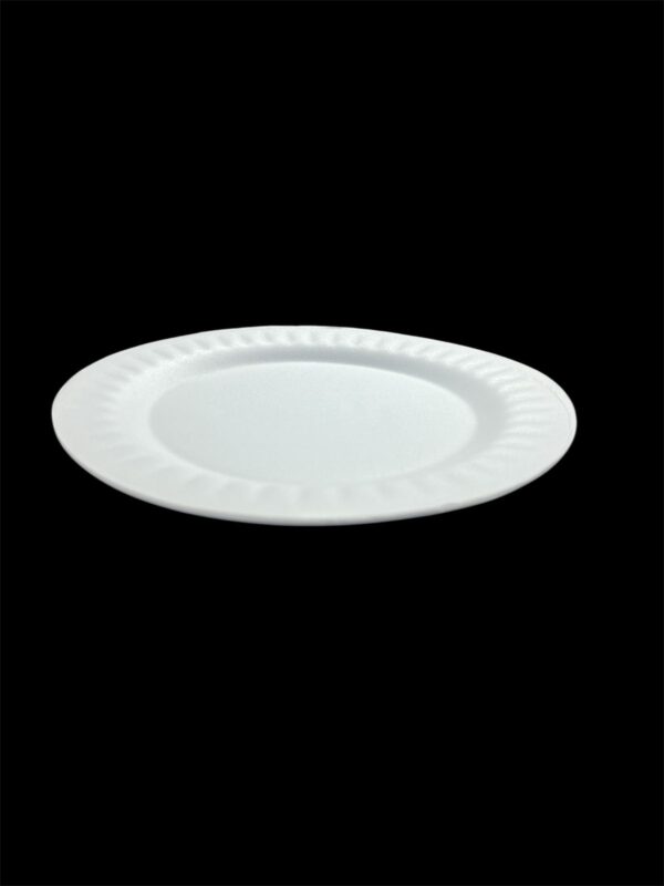 FOAM PLATE